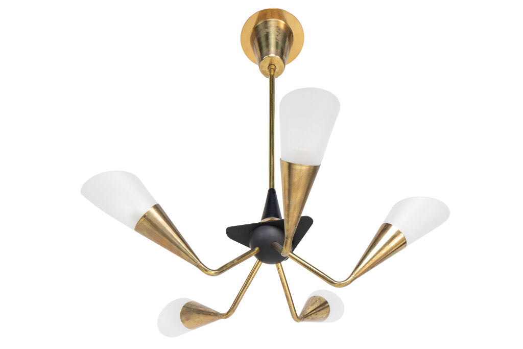 Black and Polished Brass Five Light  Chandelier With Glass Shade Default